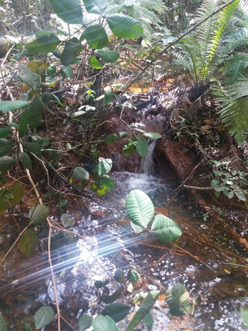 Vendo ou troco chácara por imóvel em Planaltina DF - Foto 15