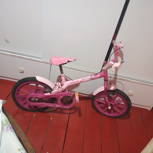 Bicicleta femenina