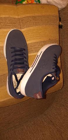 sapatênis olímpicos