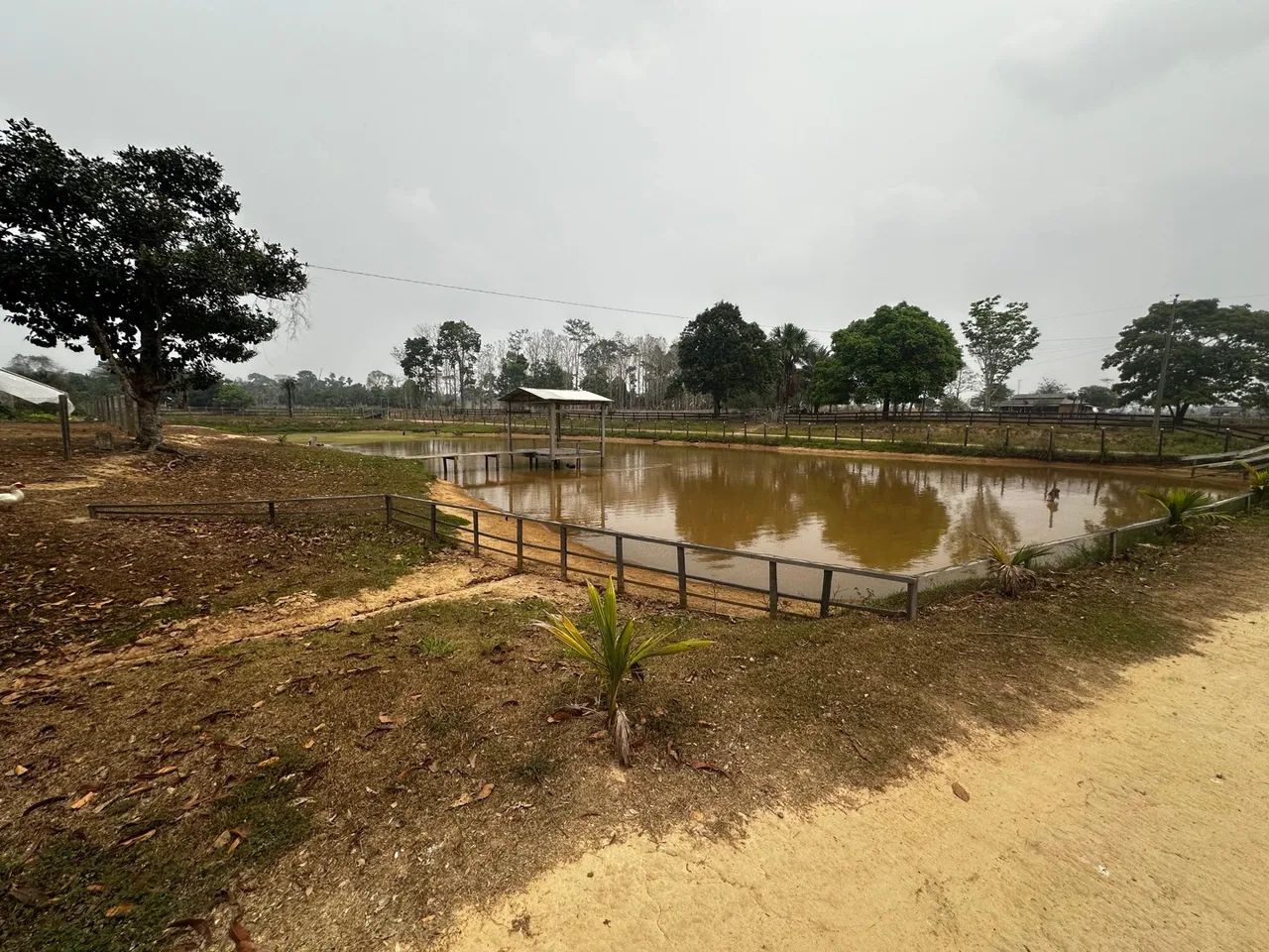  Vendo uma colônia de 15 hectares, no ramal da alcobras no km15  - Foto 7