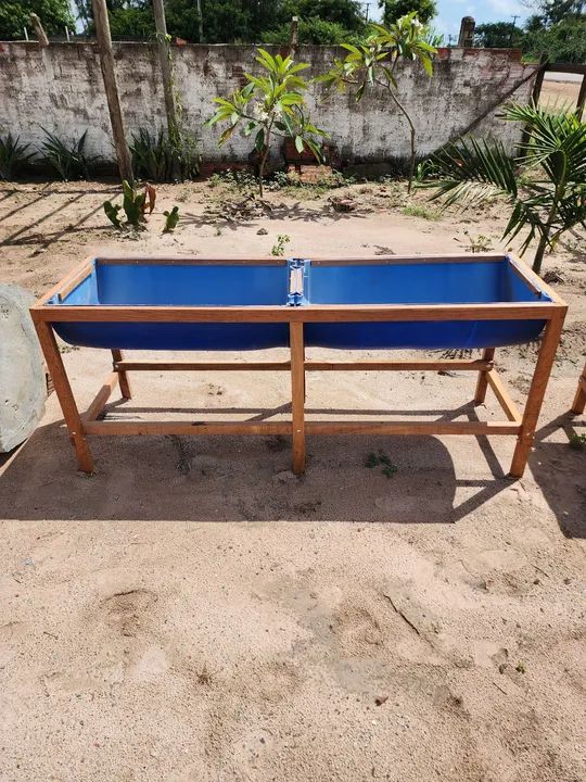 Cocho de tambor 