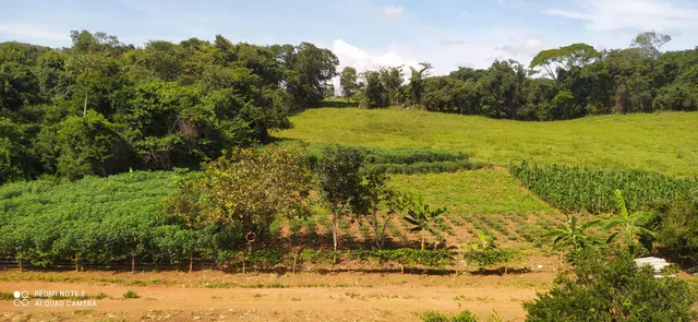 MUITO BARATO! 4 alq. e 12 L. 52 KM DE GOIÂNIA, FATURANDO E DANDO LUCRO