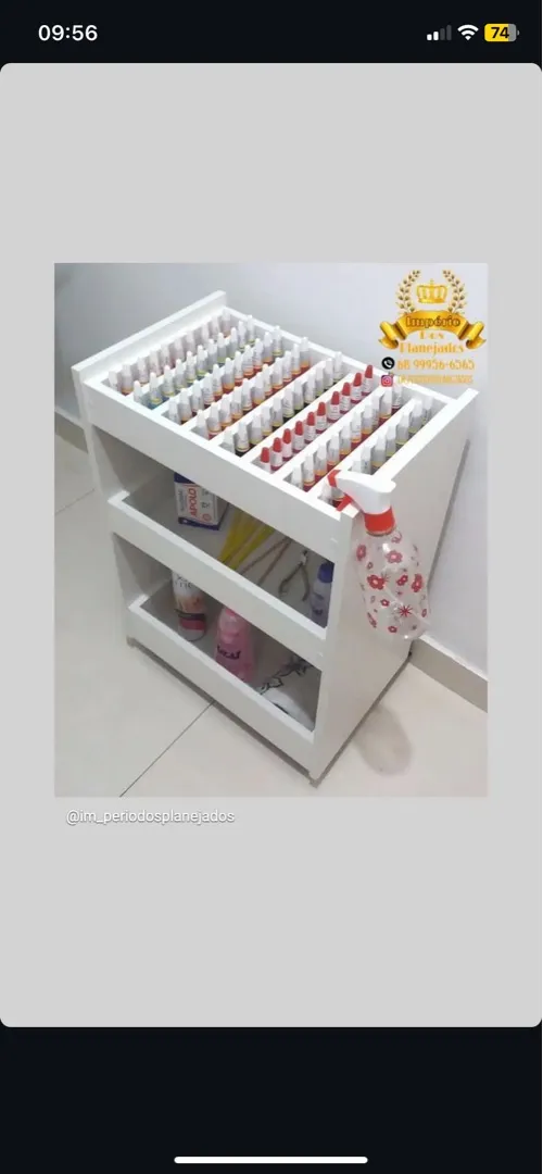 Organização para seus produtos: Prateleira com 60 Frascos!