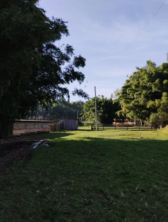 Sítio 10 hectares em São Jerônimo divisa com Arroio dos Ratos - Foto 4