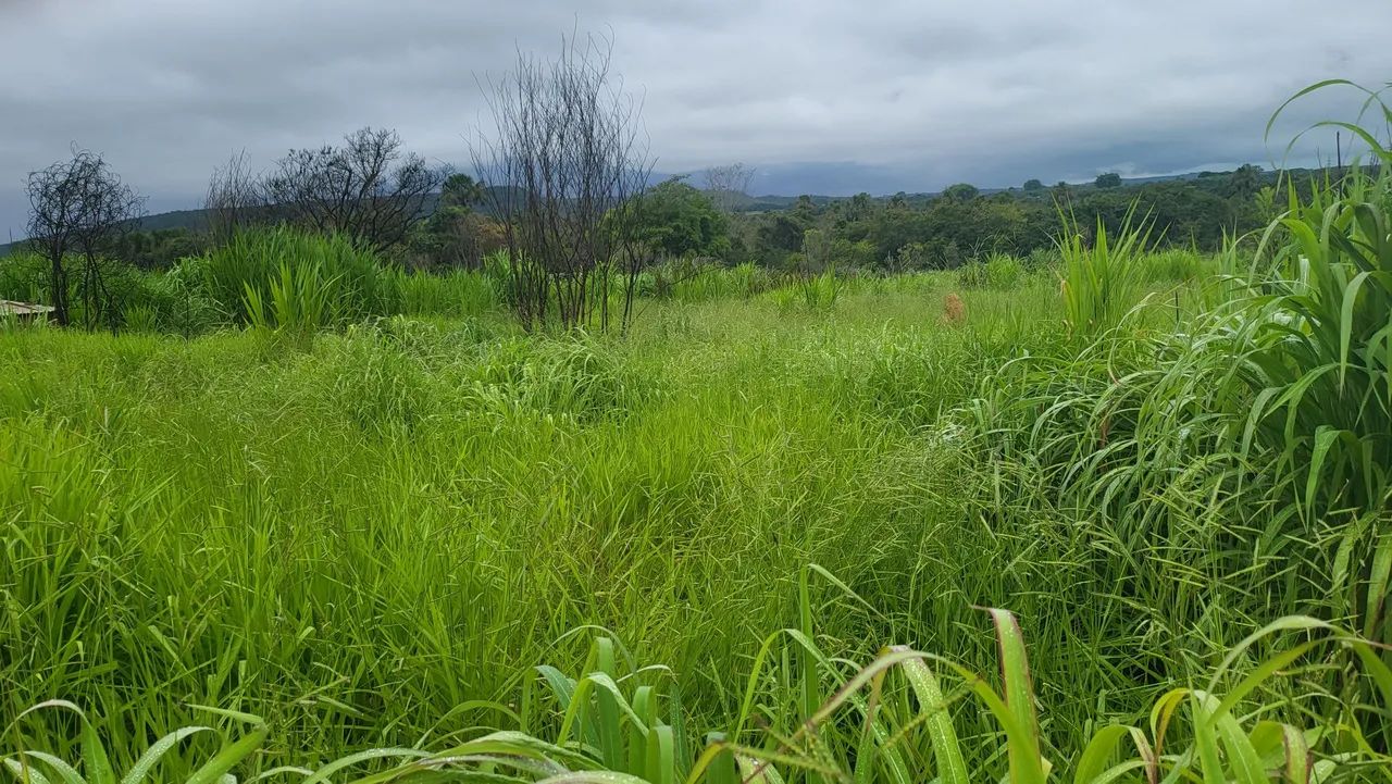 Ex chácara em planaltina df - Foto 9
