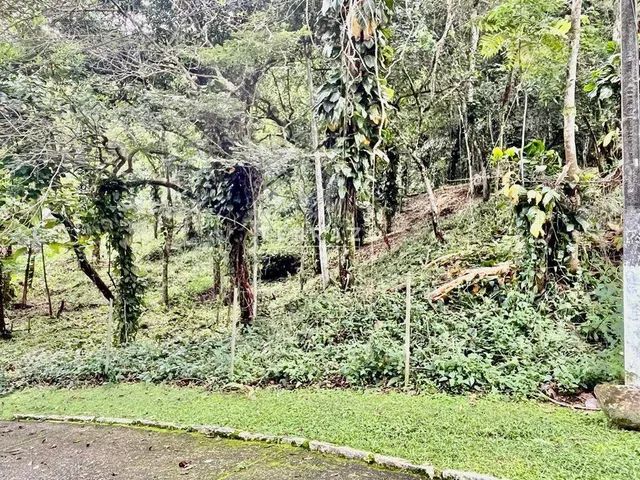 Terreno à venda, Limoeiro - Guapimirim/RJ - Foto 3