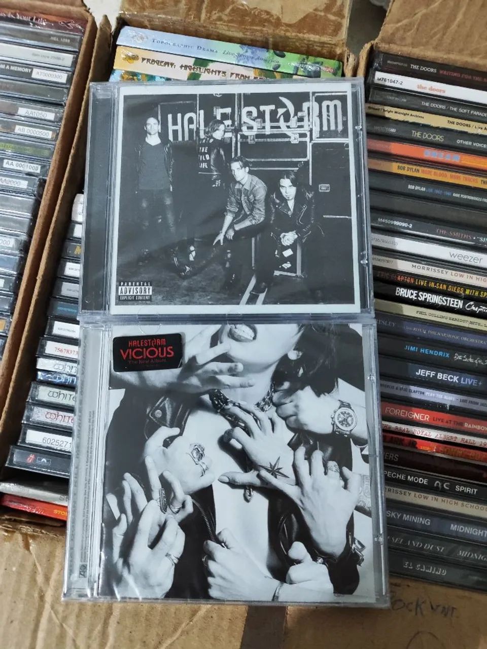 2CDs Halestorm - Vivious/Into The Wild Life