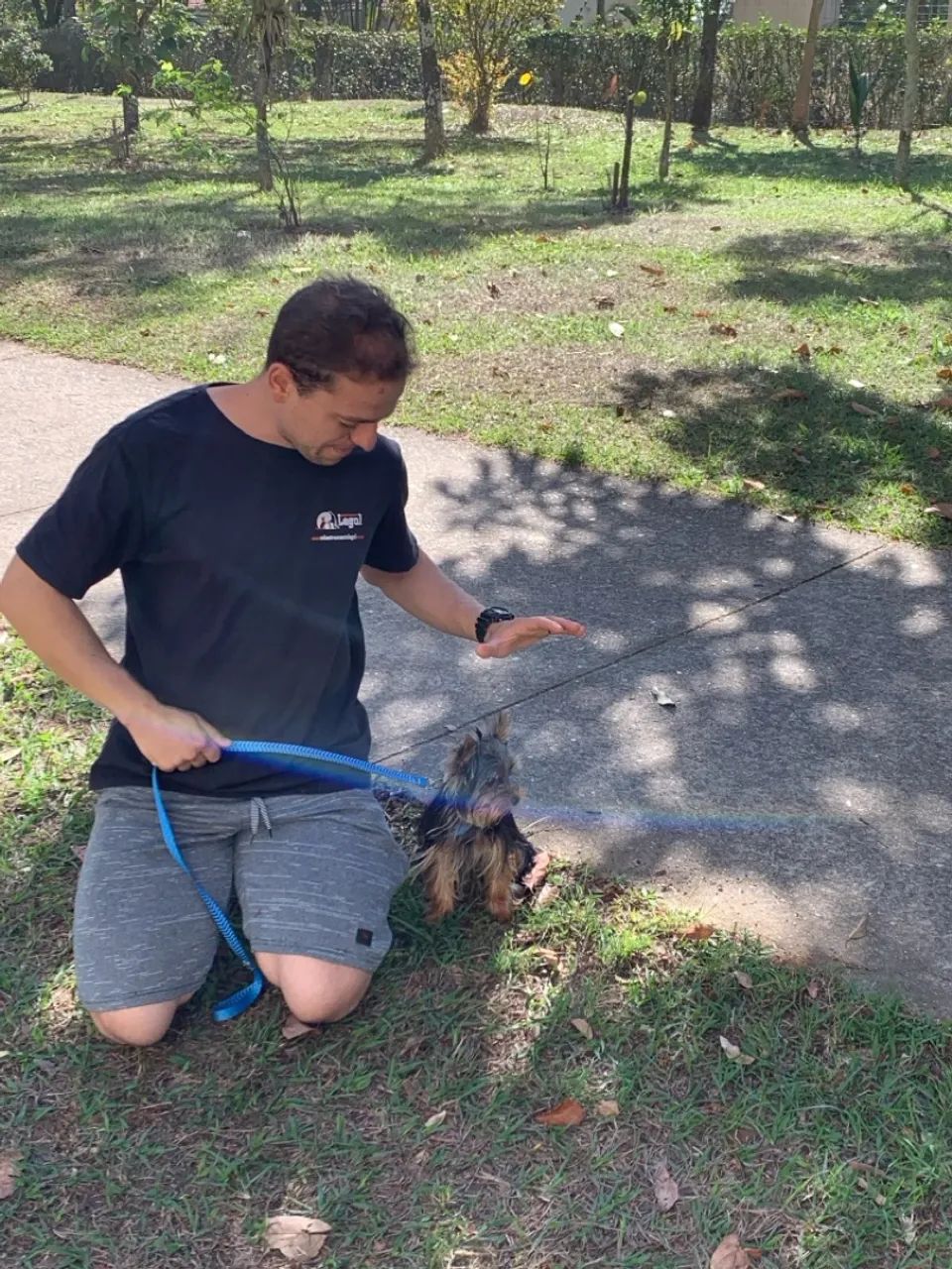 Adestramento de cães positivo em SJC - Foto 2