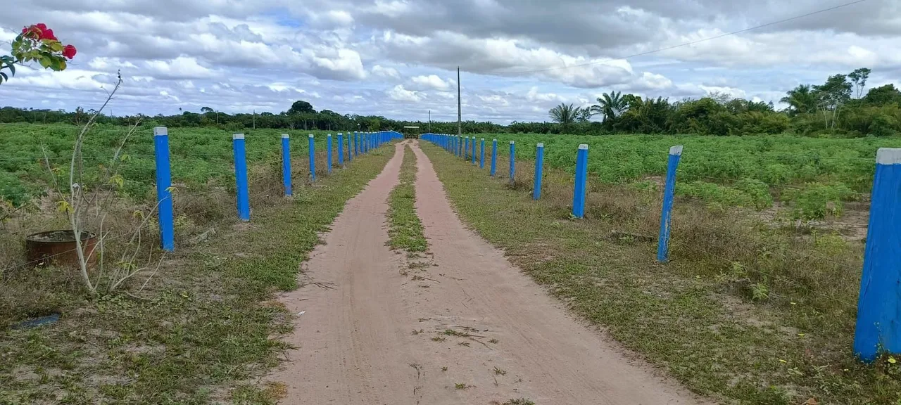 Fazenda em Macajai.