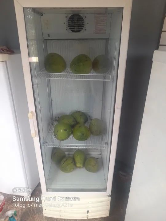 Geladeira Expositora - Conservando seus produtos com qualidade