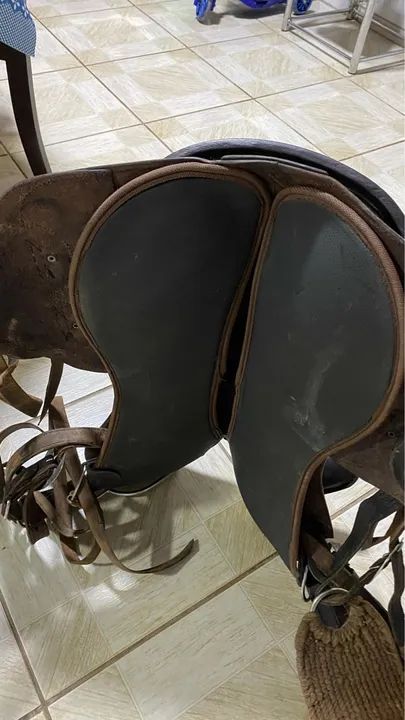 Sela cutuca  - Foto 4