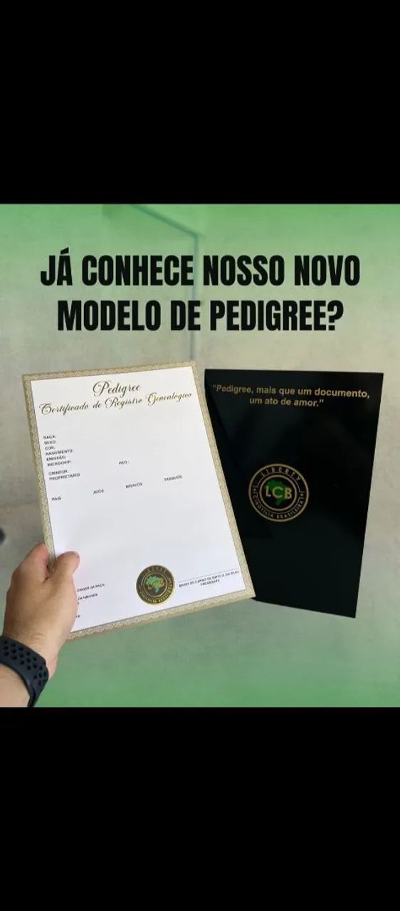 Pedigree com Microchip na Liberty - Foto 2