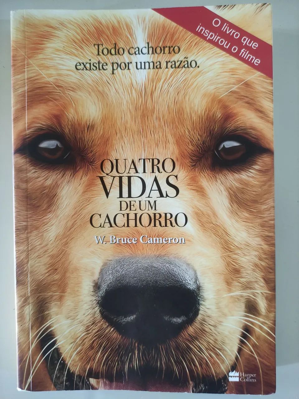 Quatro vidas de um cachorro 