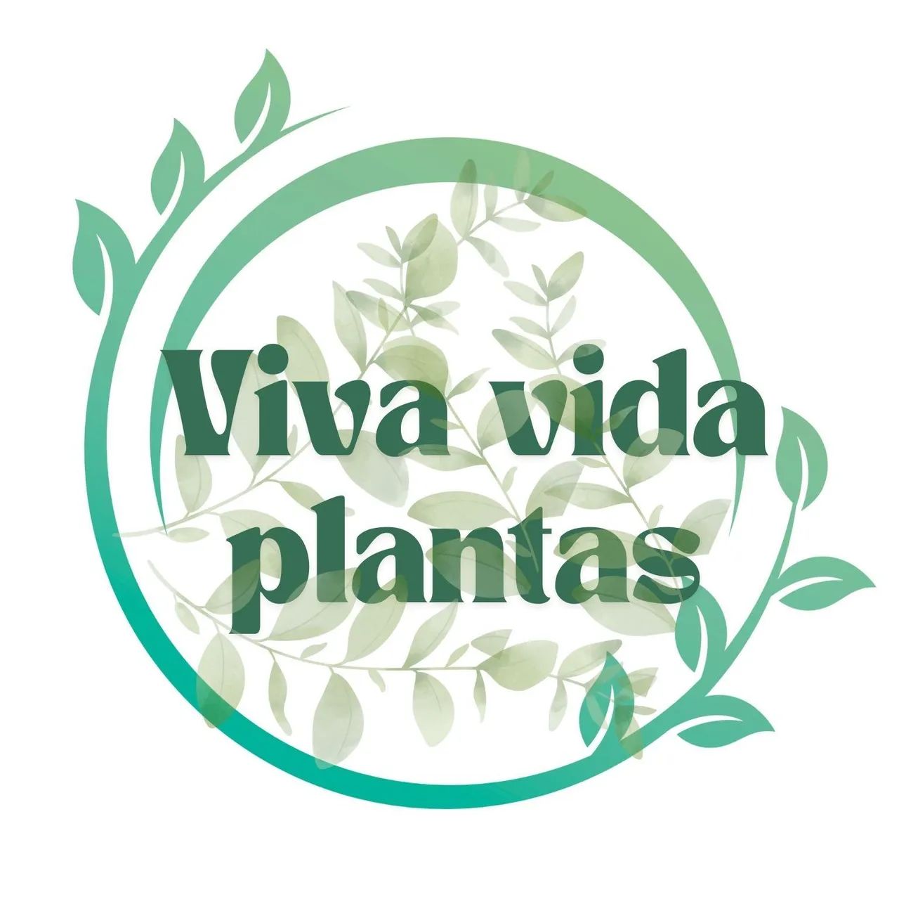 Azaléia Mini flor dobrada pink. Linda planta natural decoração interior e exterior. - Foto 6