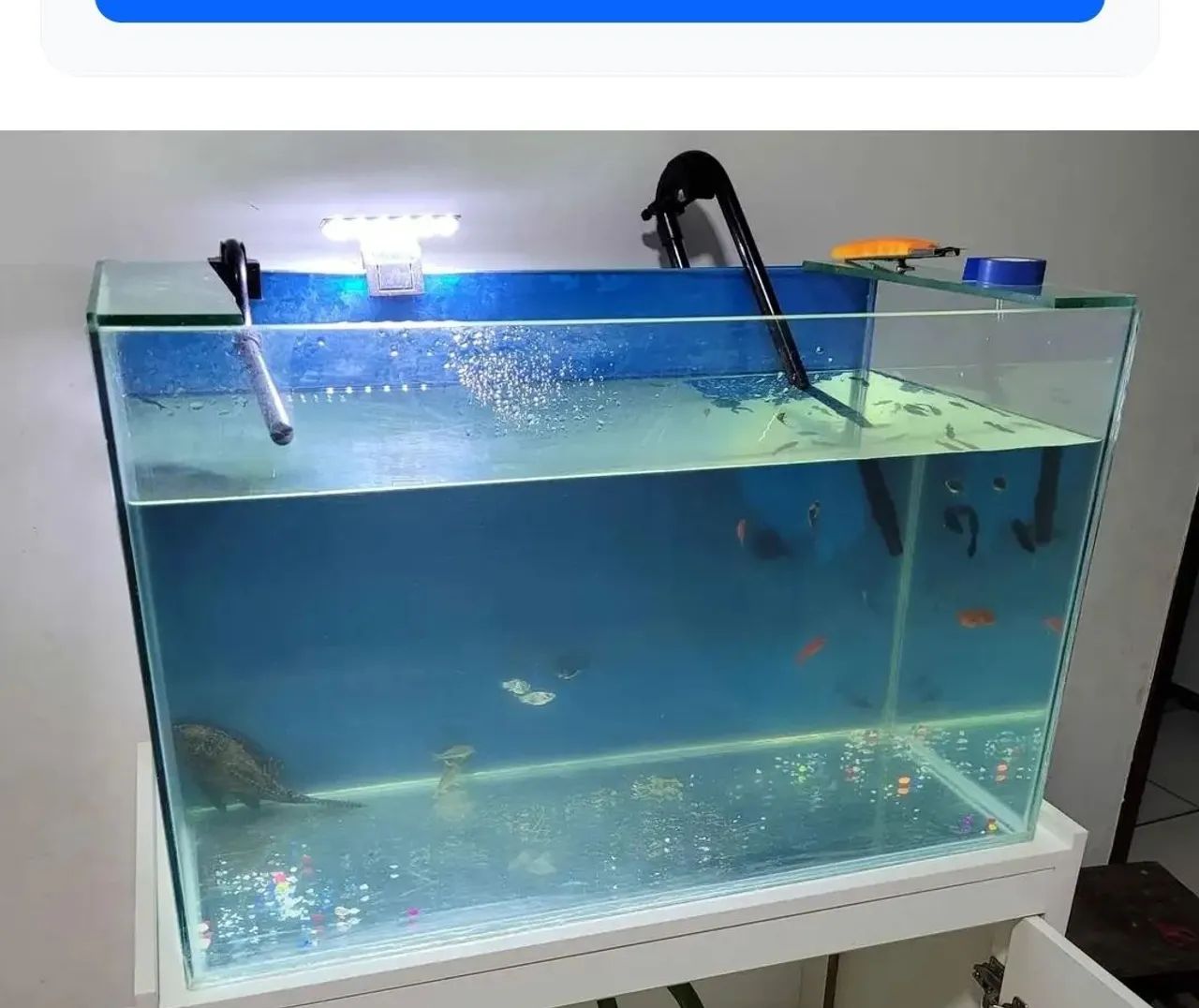 Aquário de Vidro Decorativo
