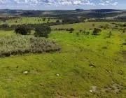 Fazenda 24 alqueires 