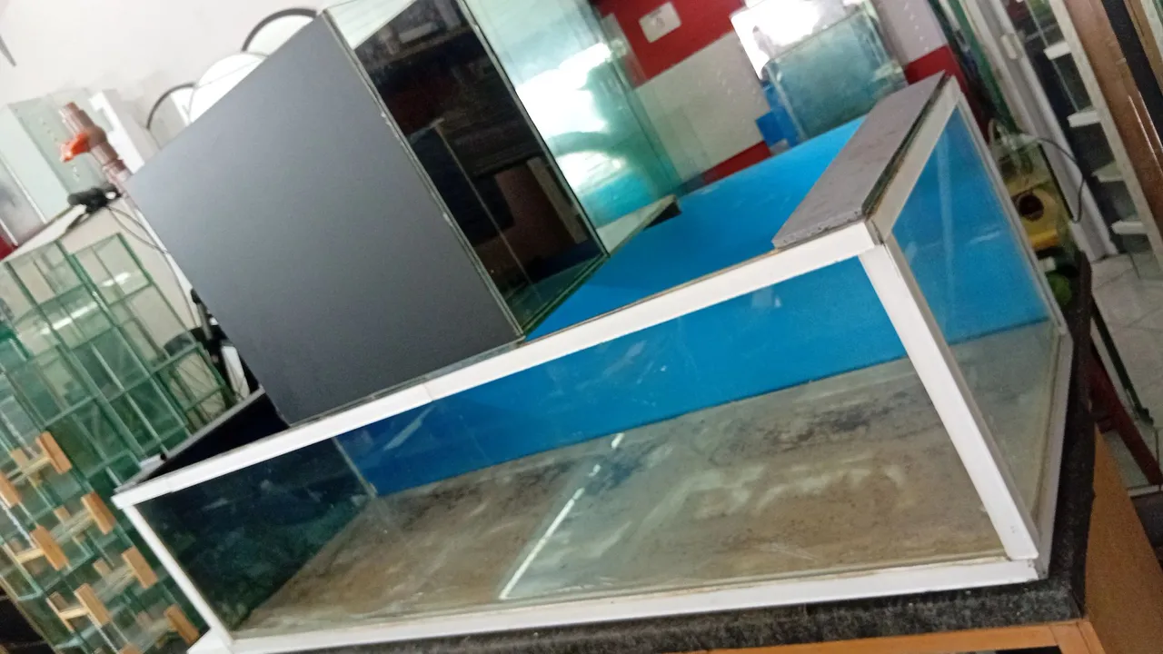 Aquário Grande 320 L