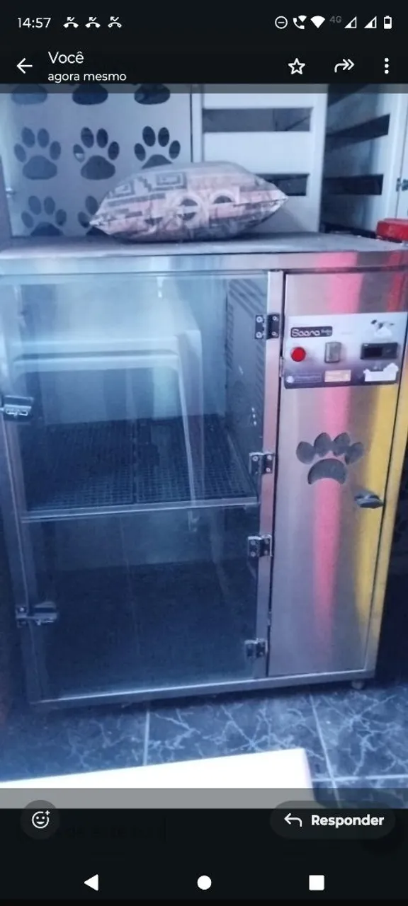Secador para pet shop. Máquina para secar pets
