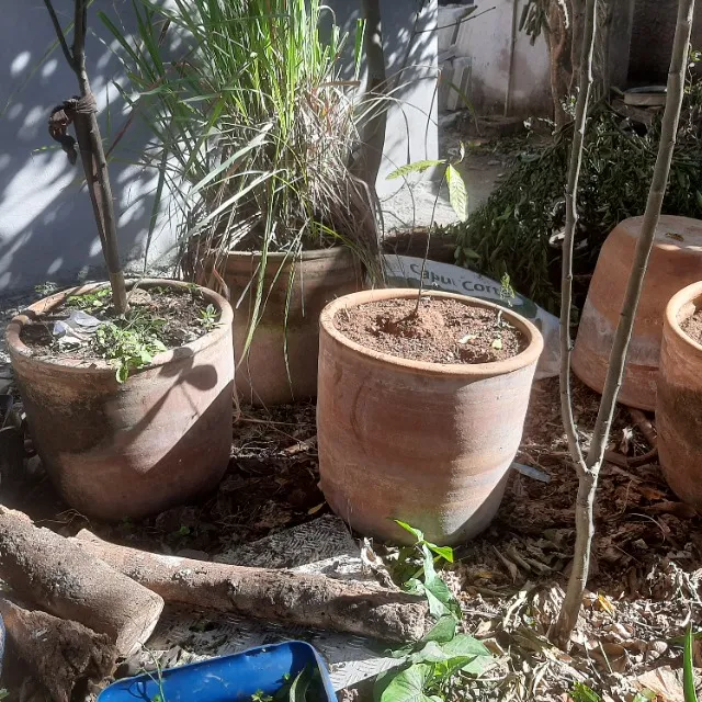 Cinco vasos de cerâmica de 60l