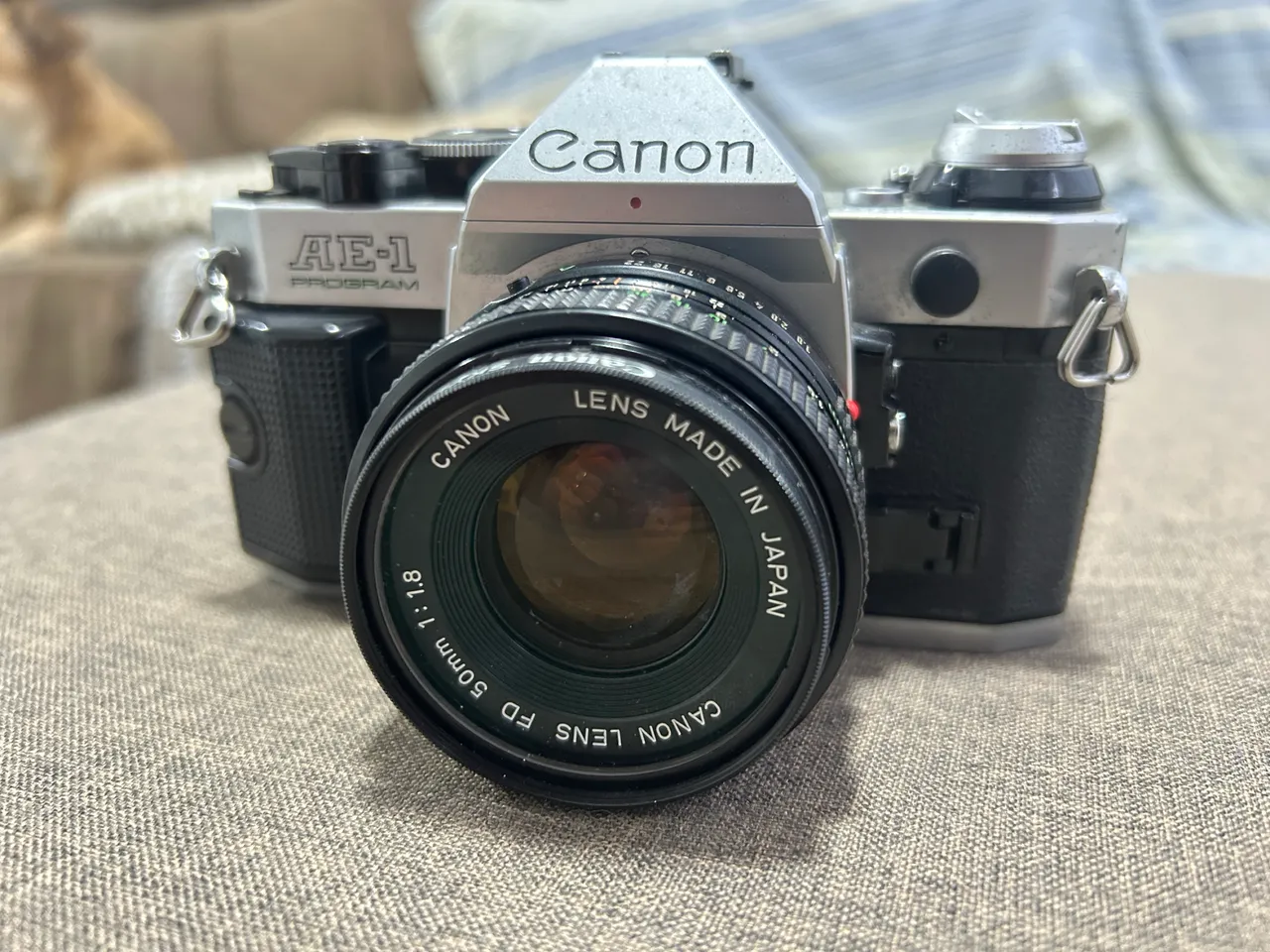 Canon AE-1 & NFD 50mm & NFD 135mm　#9346 Canon AE-1 & NFD 50mm & NFD 135mm #9346 Canon AE-1 & NFD 50mm