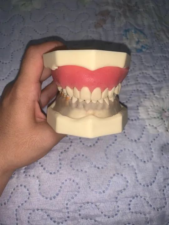 Vende-se manequim odontológico  - Foto 4