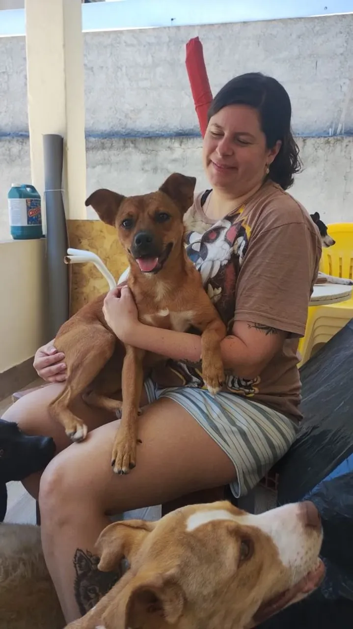 Linda caramela para adoção