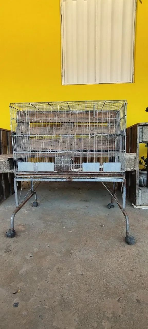 Gaiola 64304560613890123