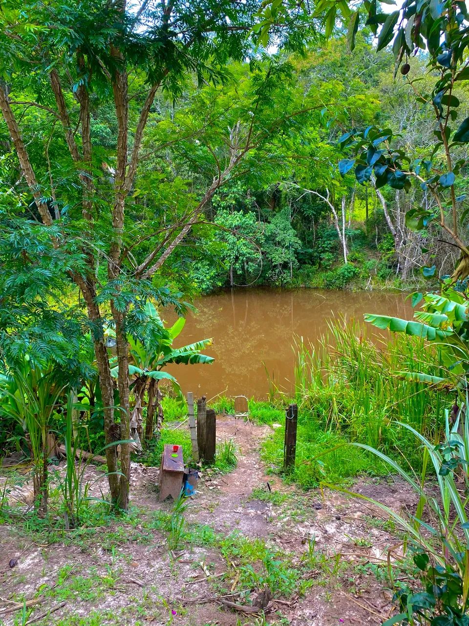 Foto - Mogi das Cruzes - Botujuru