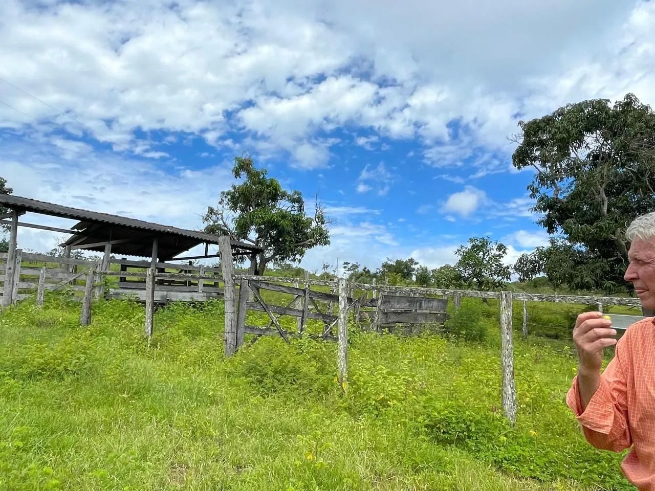 Fazenda em mimoso de Goiás/padre Bernardo. - Foto 5