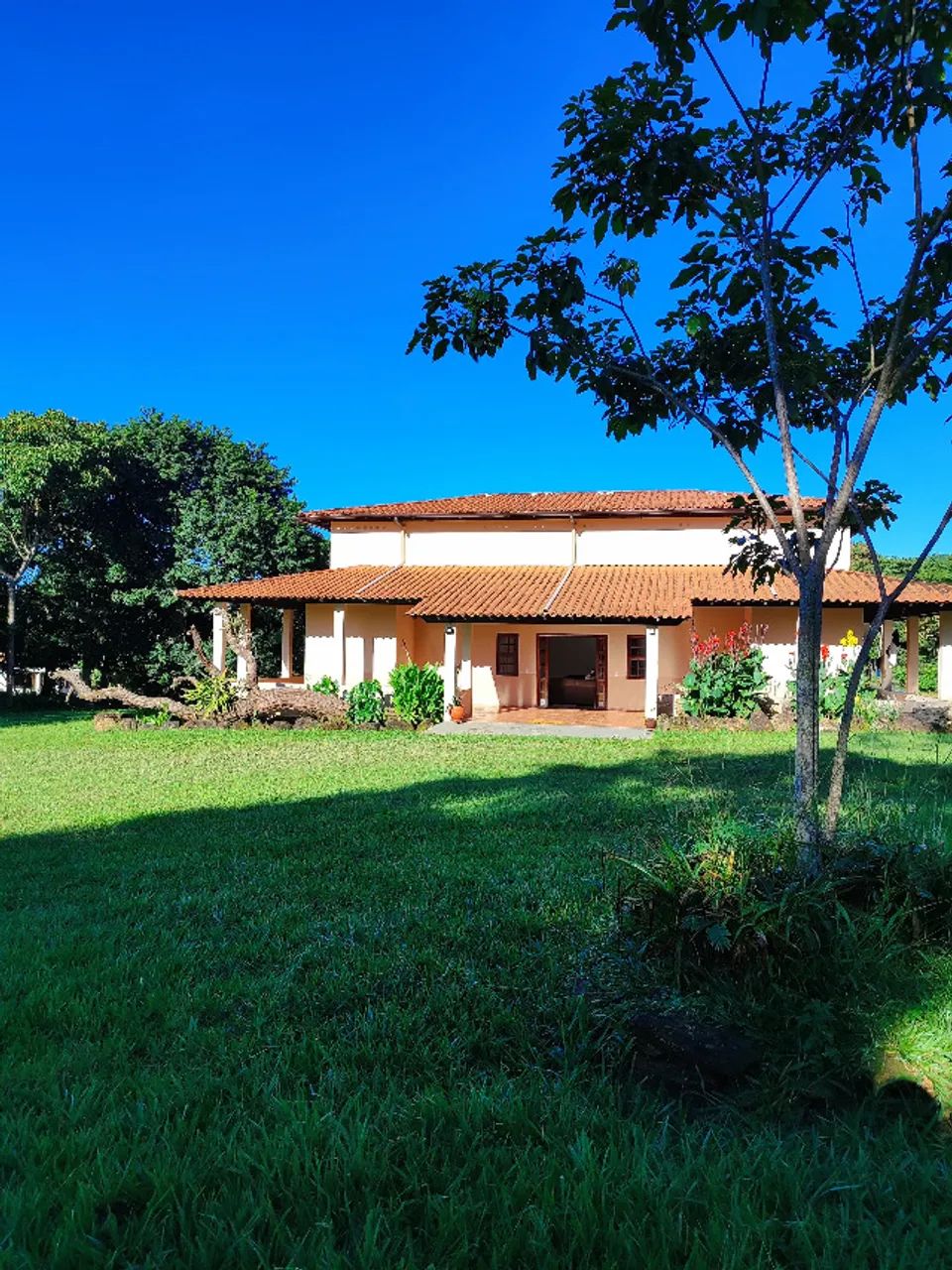 SÍTIO EDUARDO E MÔNICA - 39 hectares - DF