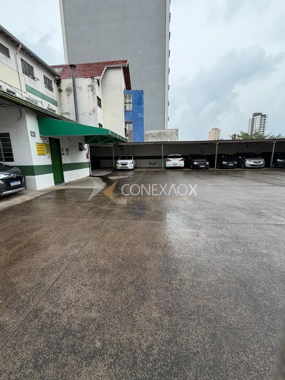 terreno - Vila Itapura - Campinas - Foto 3