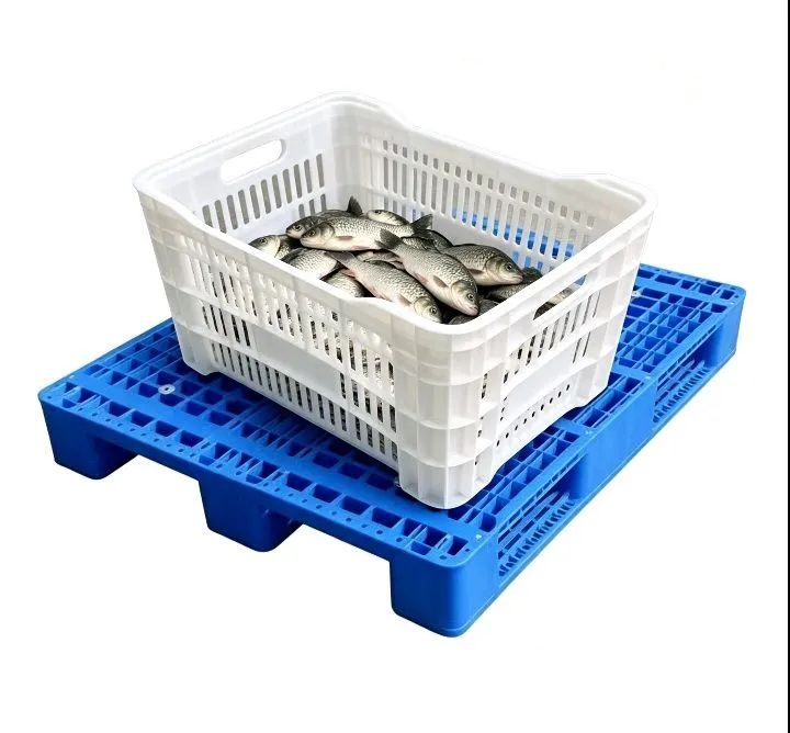 Para sua Distribuidora de Peixes e Camarões