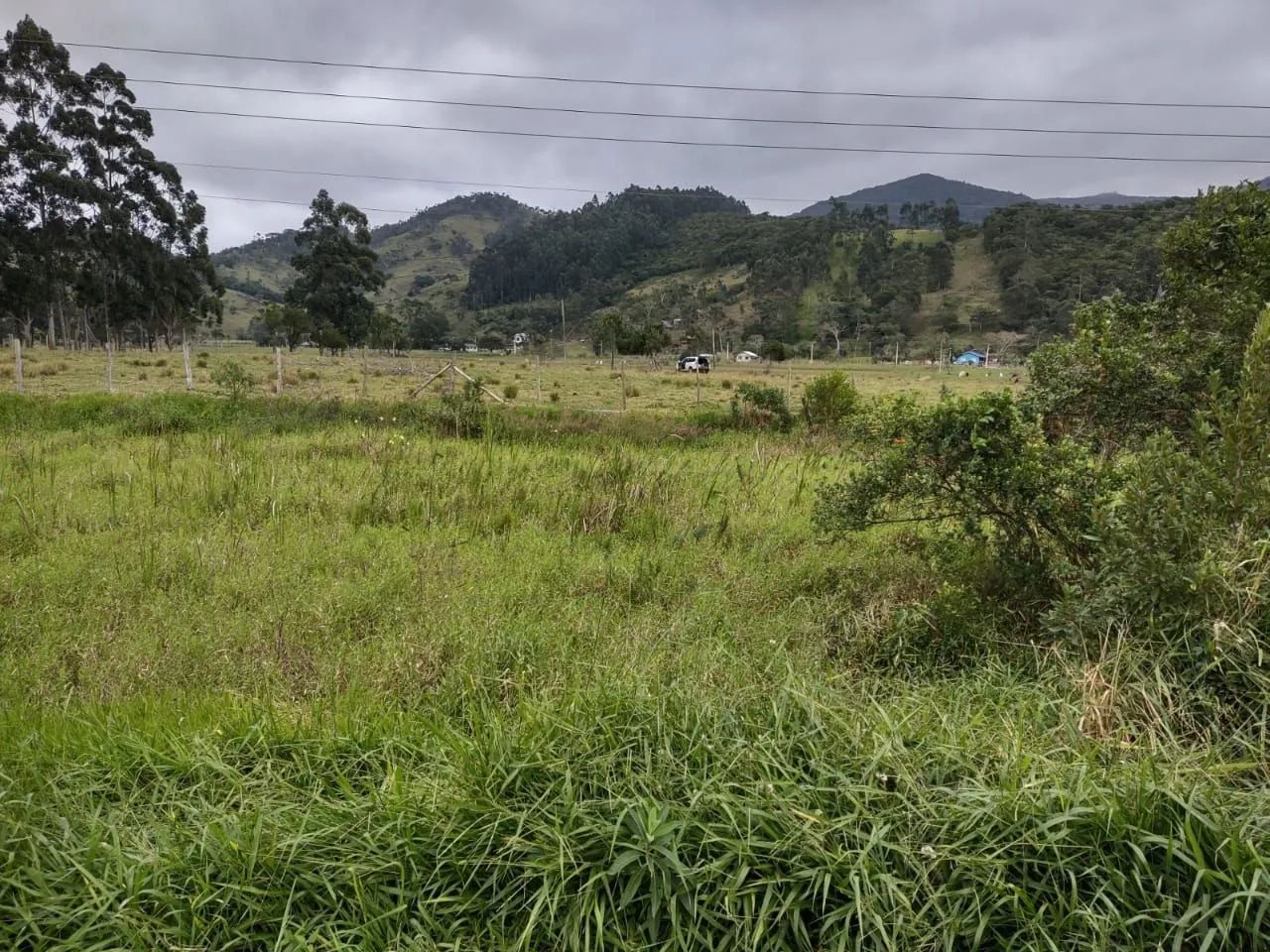 Na BR101, Imbituba. 40.000m2, plano, bom acesso. - Foto 2