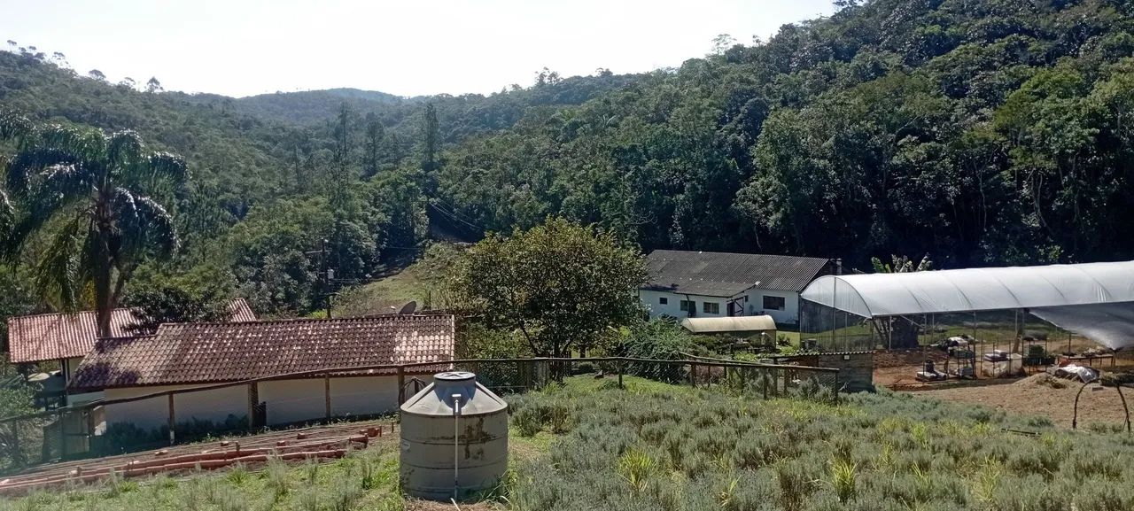 Foto - São Lourenço da Serra - 