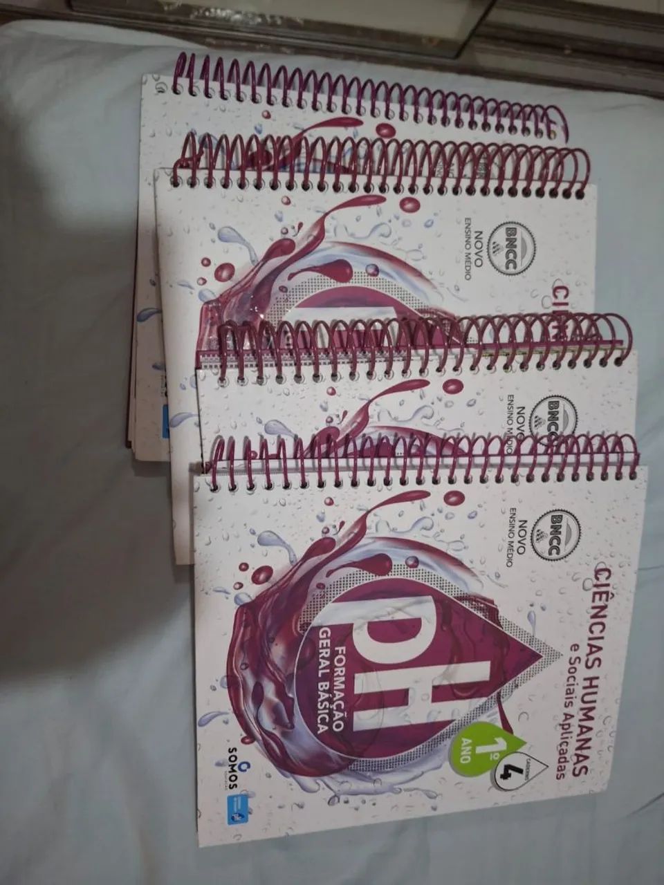 MÓDULOS 1 ANO PH 2025 - Foto 2