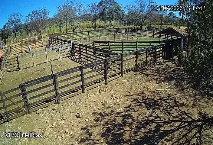 Trabalhador Rural e tratorista 2