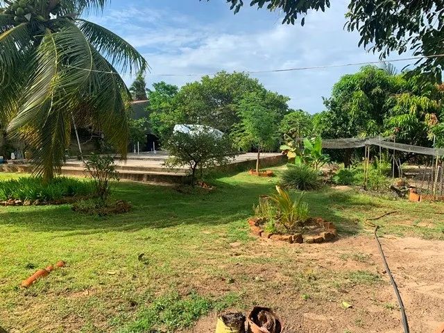 Terreno murado à venda no Mosqueiro - Foto 3