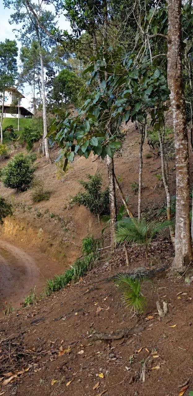 Terreno 3000m2 - Pedra Azul - Região parque do China - Foto 5