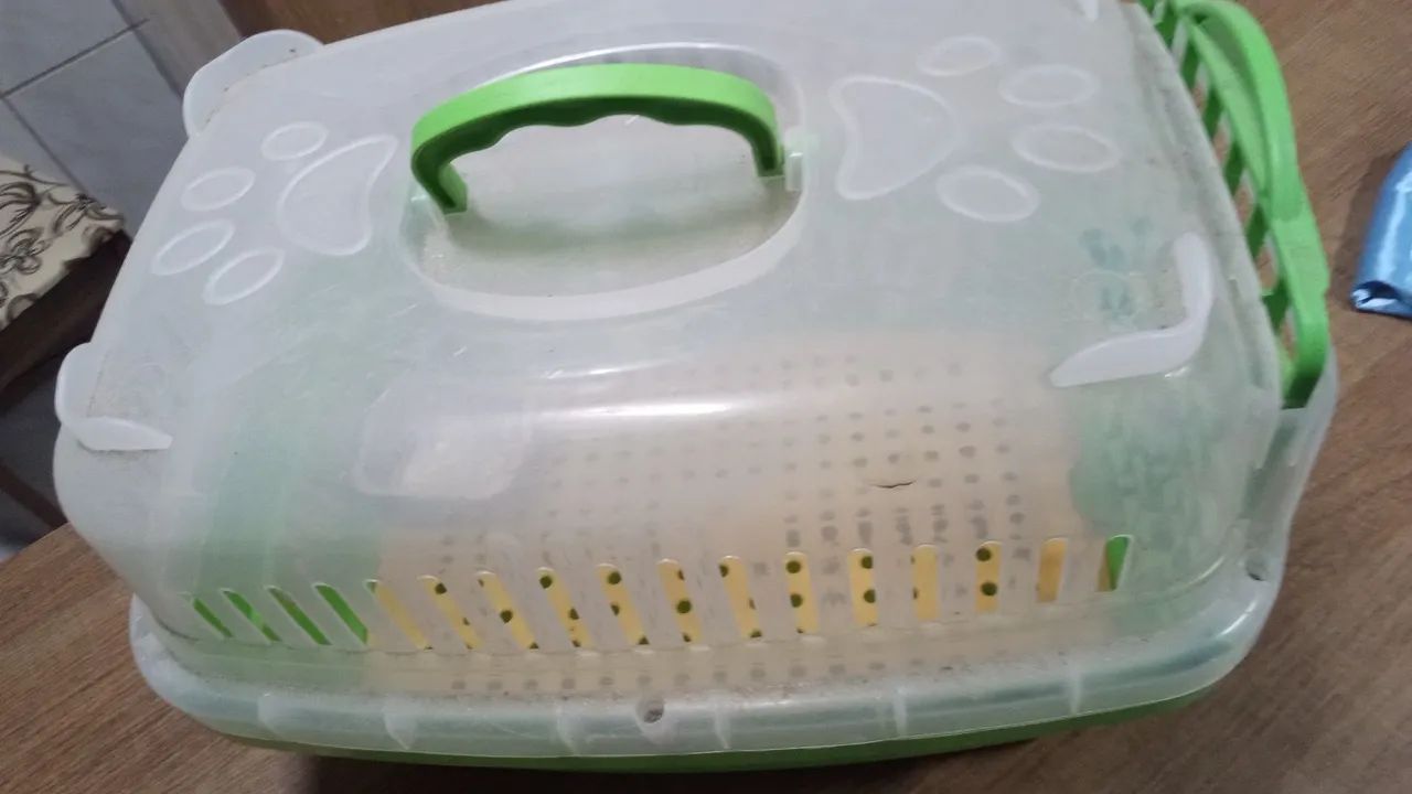 Caixa de transporte pra caes - Foto 3