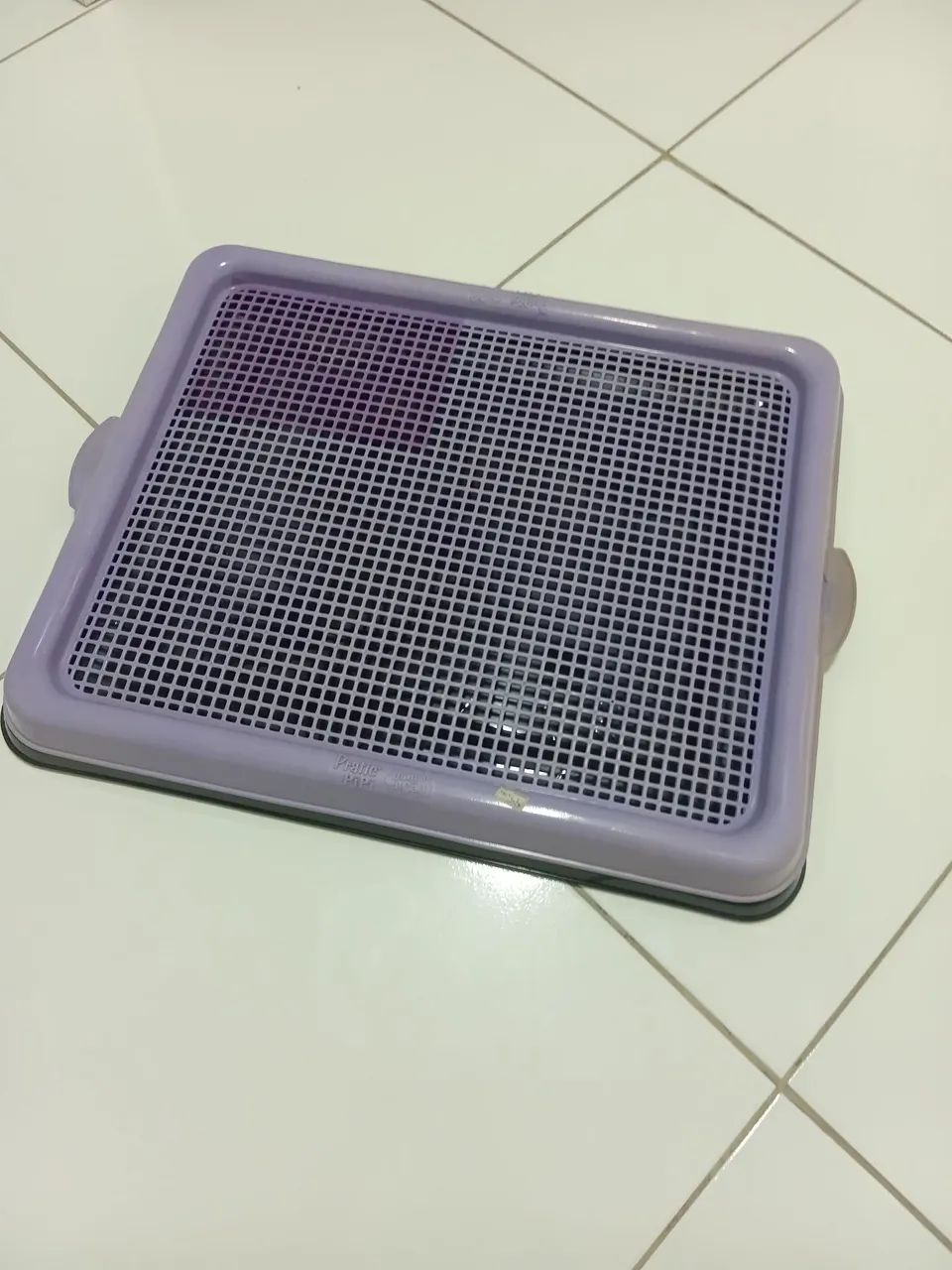 Sanitário pet Pratic Pipi, o banheiro do cão 