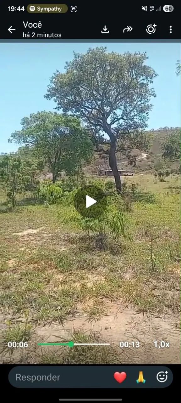 Vendo chácara rajadinha  - Foto 4