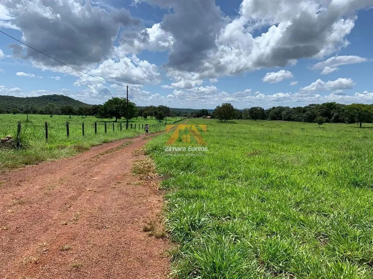 Fazenda com 53,5 Alqueires - Zona Rural - Aparecida do Rio Negro/TO - Foto 3