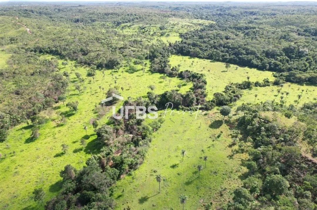 Fazenda - Chácara - Foto 3