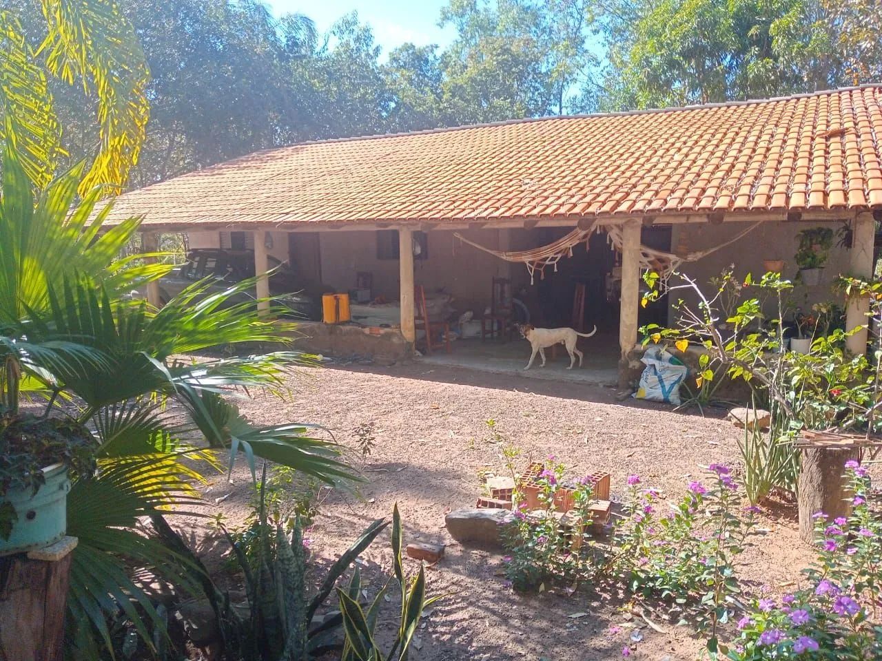 Vendo chácara 30hectares 