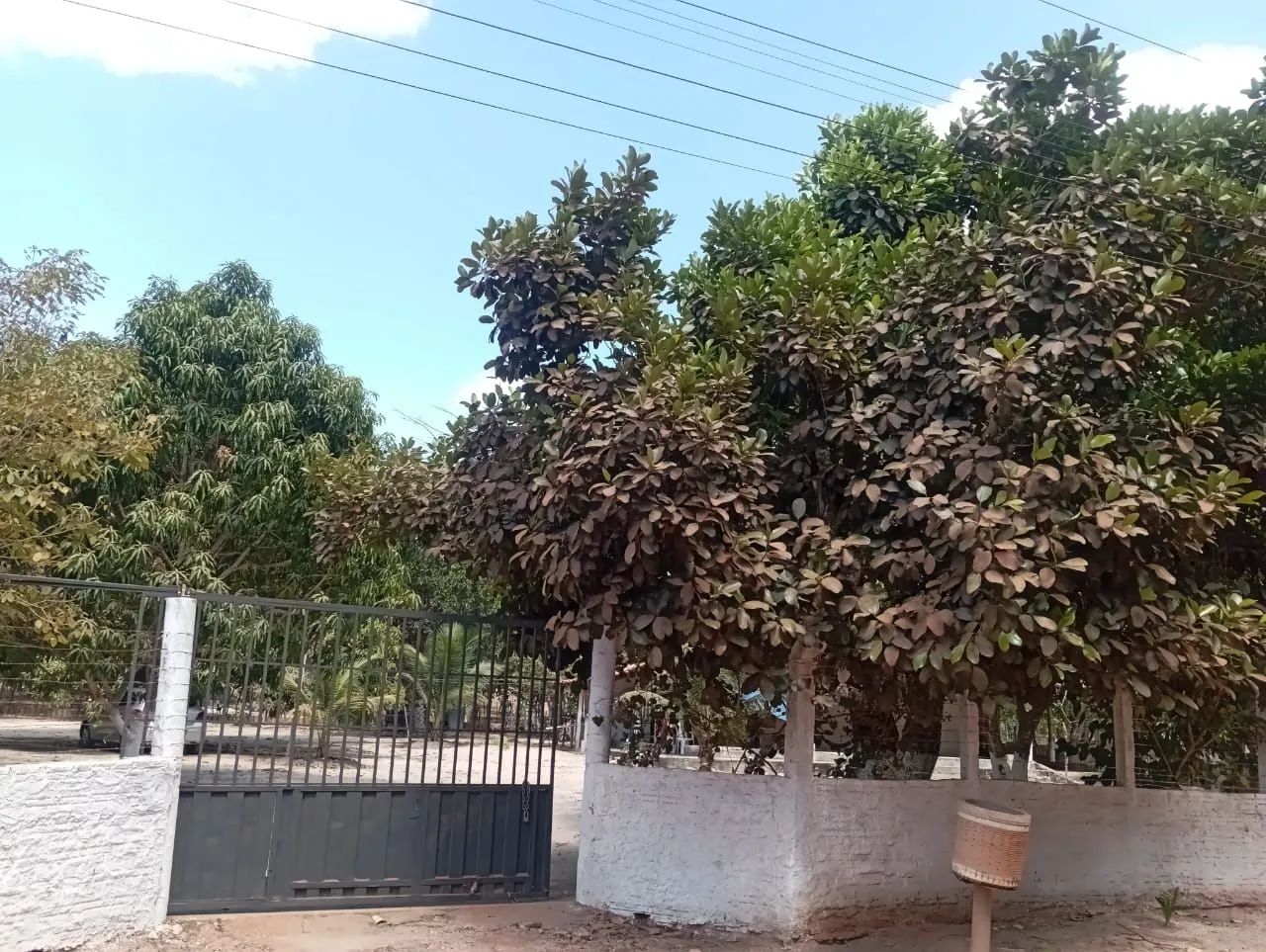 Vendo sitio - Foto 5