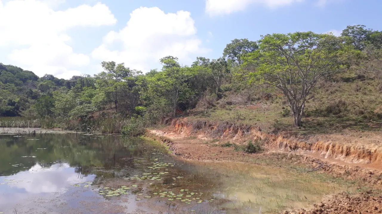 FAZENDINHAS com 20 mil mts perto do asfalto - Foto 3