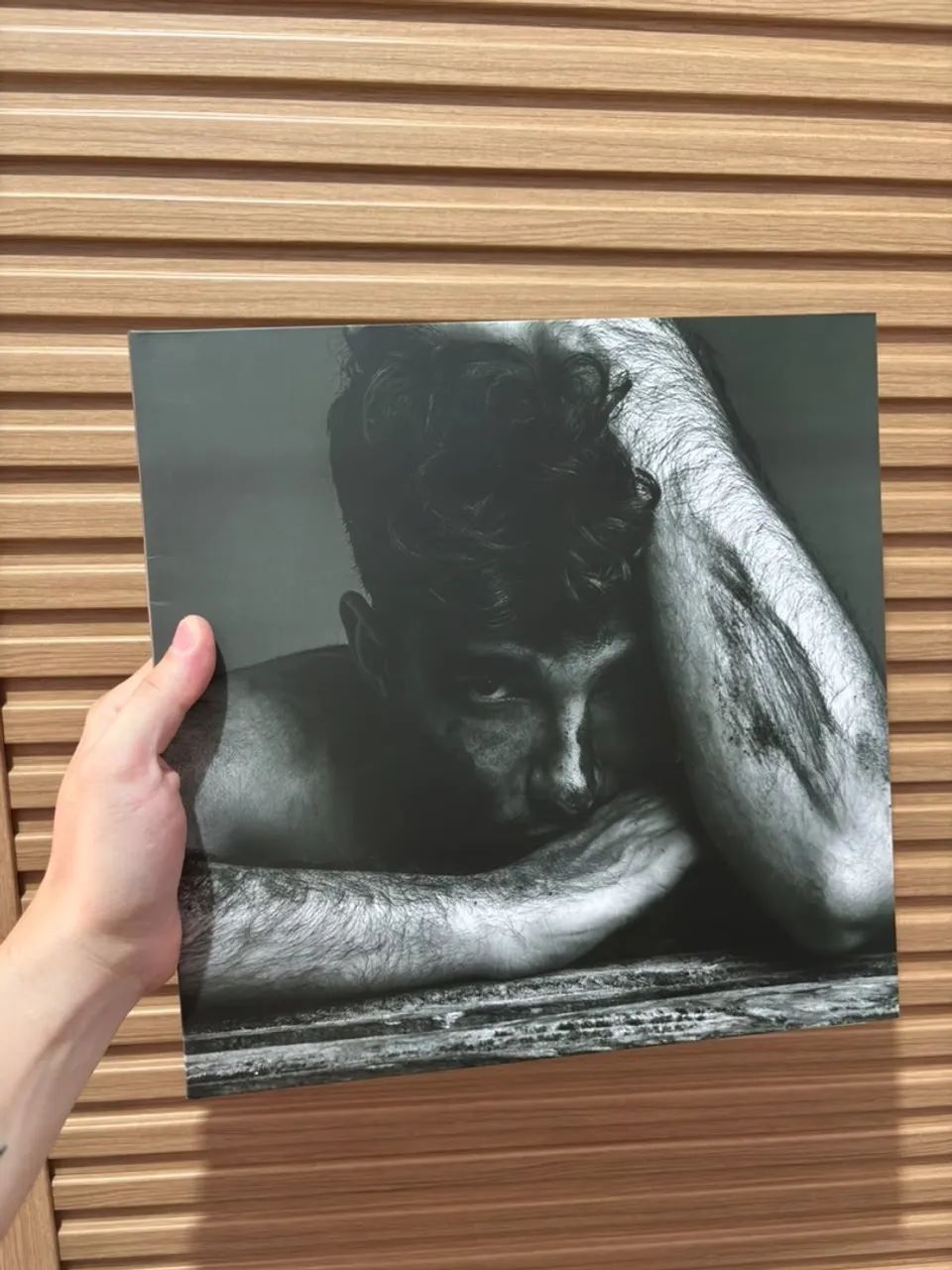 Vinil Lobos - Jão - Foto 2