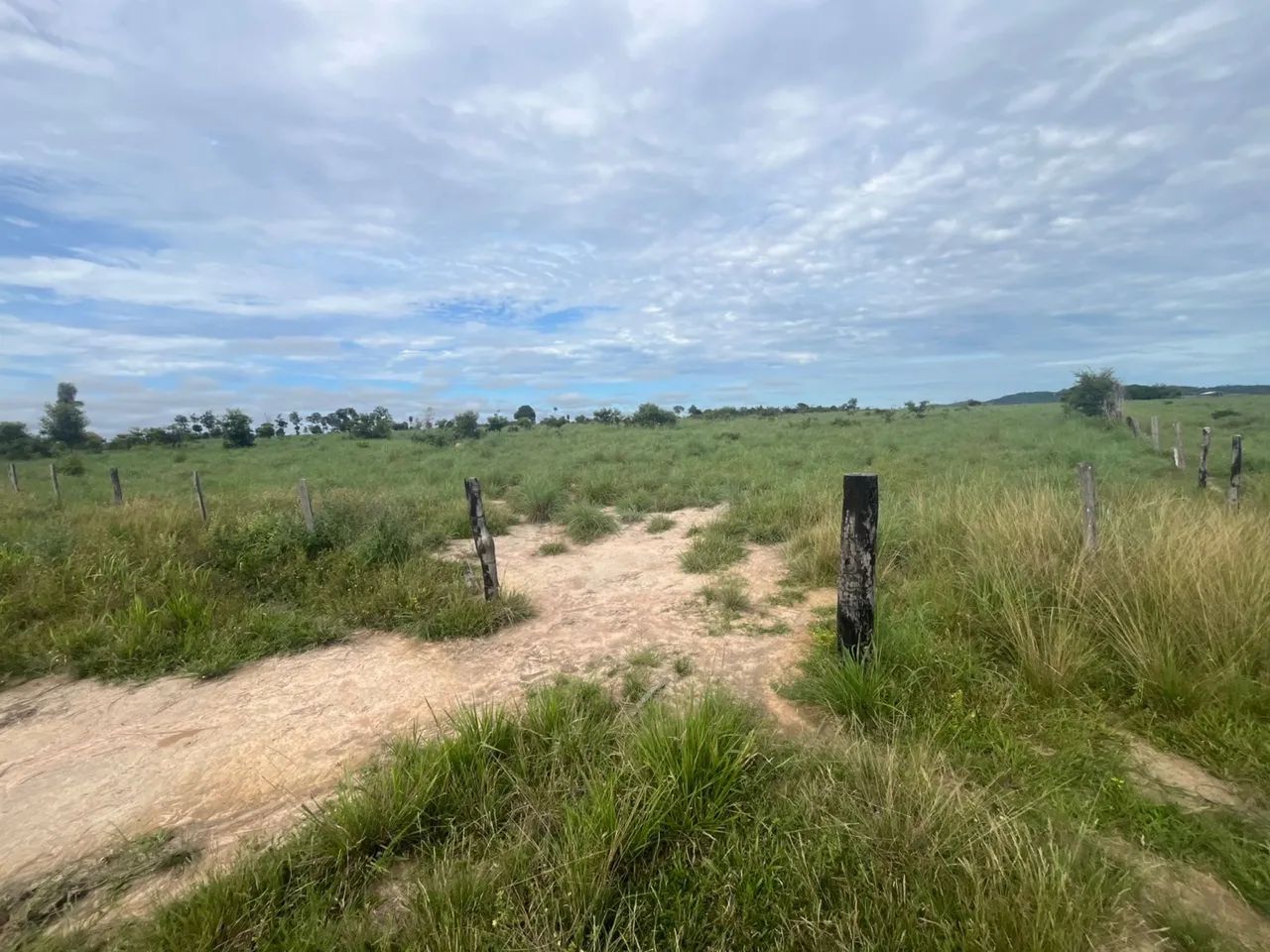 Vende-se fazenda  - Foto 4
