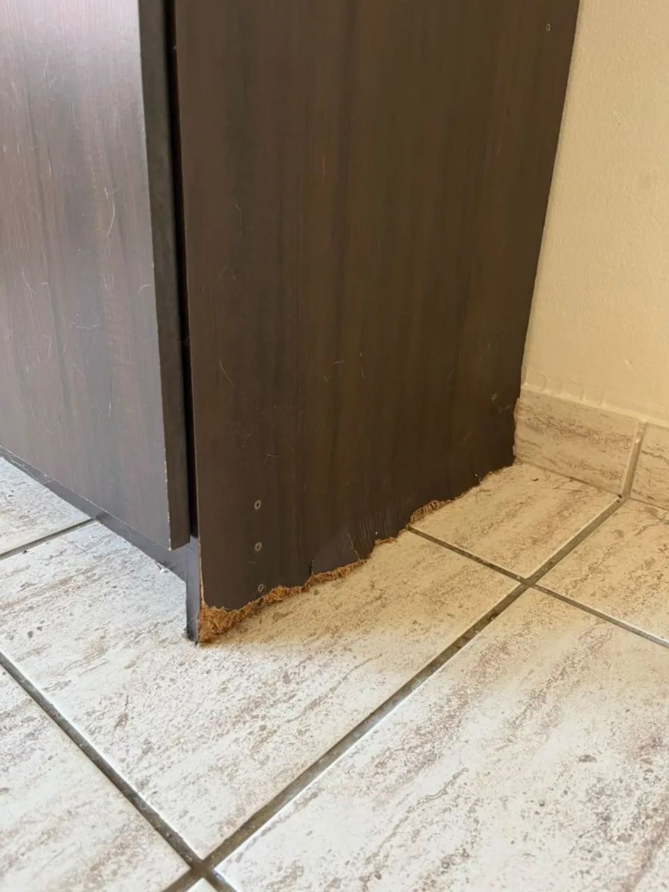Buffet - Foto 2