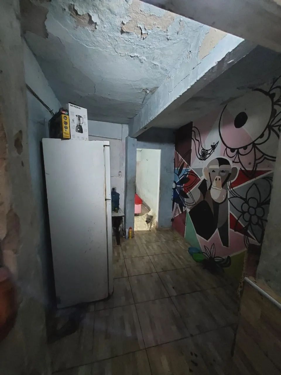 VENDO DUAS CASAS NA SERRINHA - Foto 4